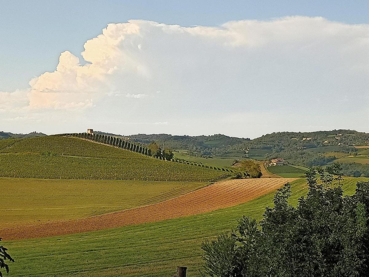 Casorzo La Libellula - Appartamento/Casa In Monferrato Unesco מראה חיצוני תמונה