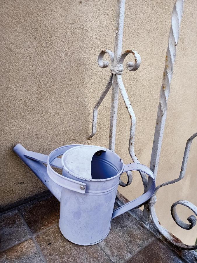 Casorzo La Libellula - Appartamento/Casa In Monferrato Unesco מראה חיצוני תמונה